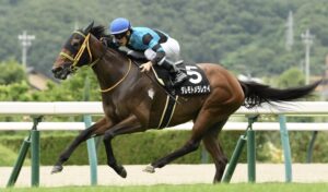 Read more about the article 【レース結果】優勝 ダレモトメラレナイ号