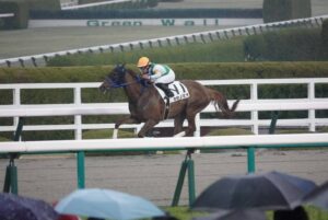 Read more about the article 【レース結果】優勝 カセノミオ号