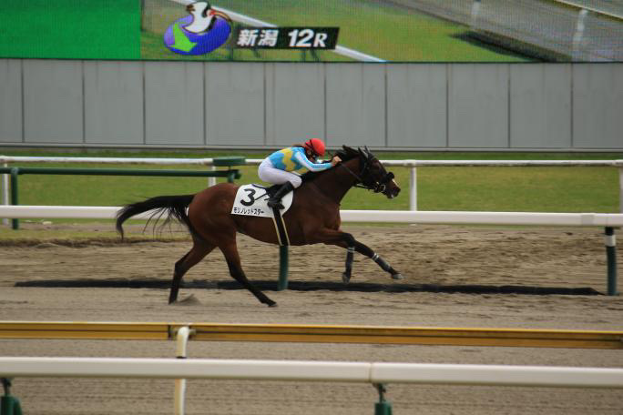 あなたが現在見ているのは 【レース結果】優勝 モリノレッドスター号