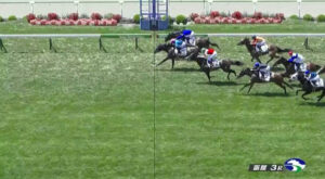 投稿についてもっと詳しく 【レース結果】優勝 ルブリアン号