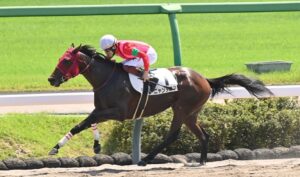 投稿についてもっと詳しく 【レース結果】優勝 ニャンタロウ号