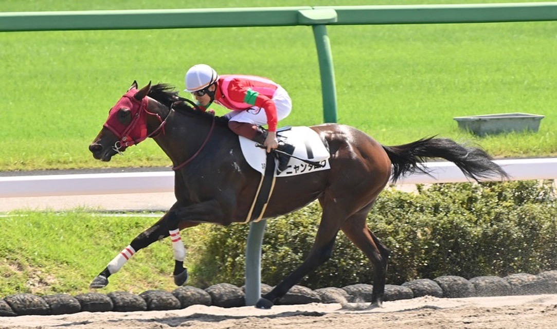 あなたが現在見ているのは 【レース結果】優勝 ニャンタロウ号
