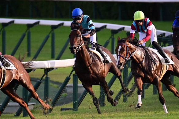 あなたが現在見ているのは 【レース結果】優勝 リアライズ号