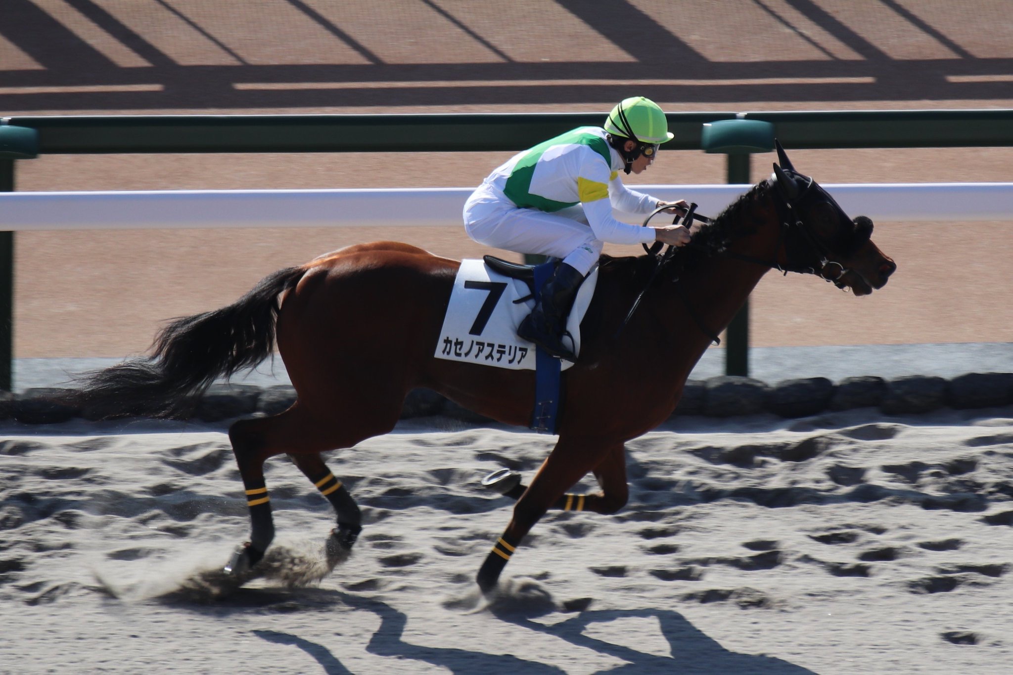 あなたが現在見ているのは 【レース結果】優勝 カセノアステリア号