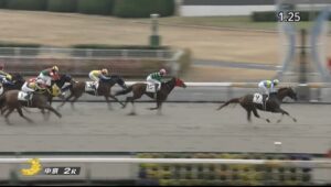 投稿についてもっと詳しく 【レース結果】優勝 モリノアミーゴ号