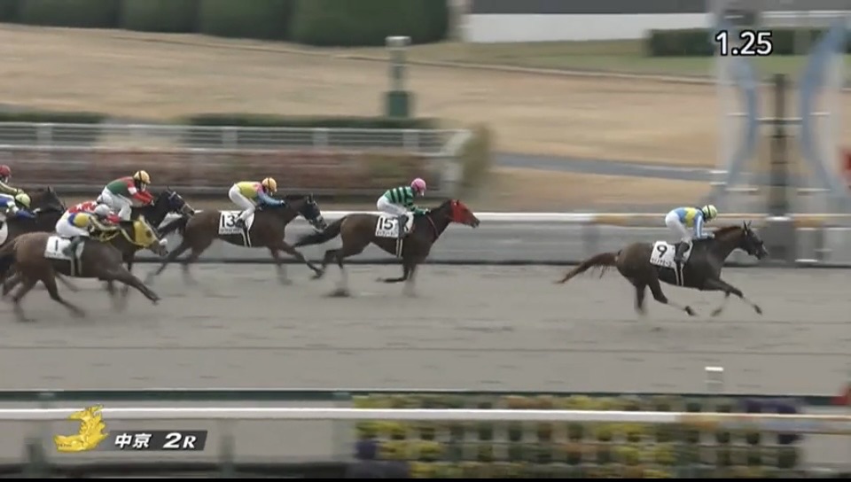 あなたが現在見ているのは 【レース結果】優勝 モリノアミーゴ号