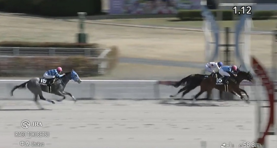 あなたが現在見ているのは 【レース結果】優勝 ランウインディ号