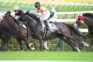 投稿についてもっと詳しく 【レース結果】優勝 フェアリーライク号