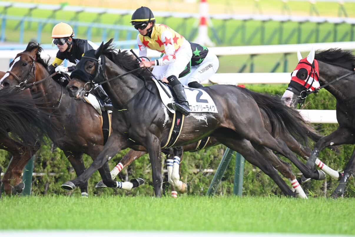 あなたが現在見ているのは 【レース結果】優勝 フェアリーライク号