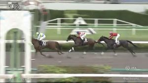 投稿についてもっと詳しく 【レース結果】優勝 モリノセピア号